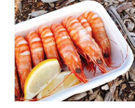 King Prawns (10)